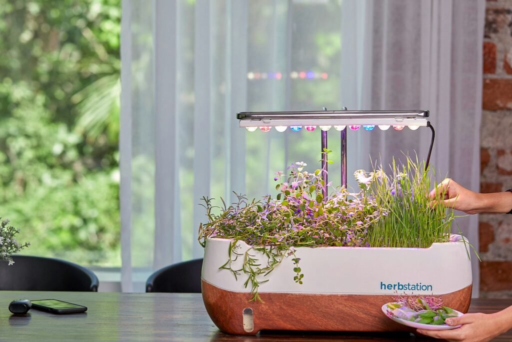 Green indoor plants receiving artificial growing light