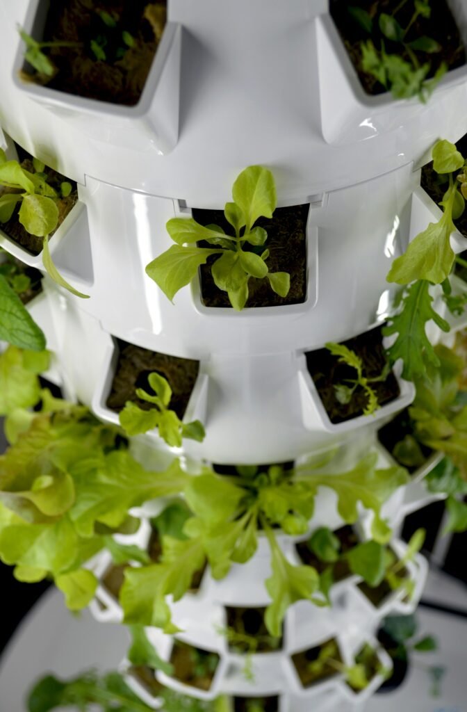 Ebb and Flow Hydroponics: How Flood-and-Drain Systems Work