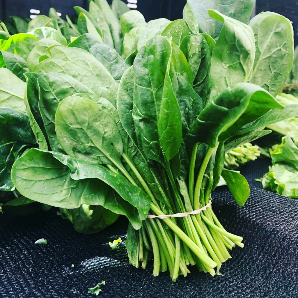 Fresh spinach and leafy green vegetables