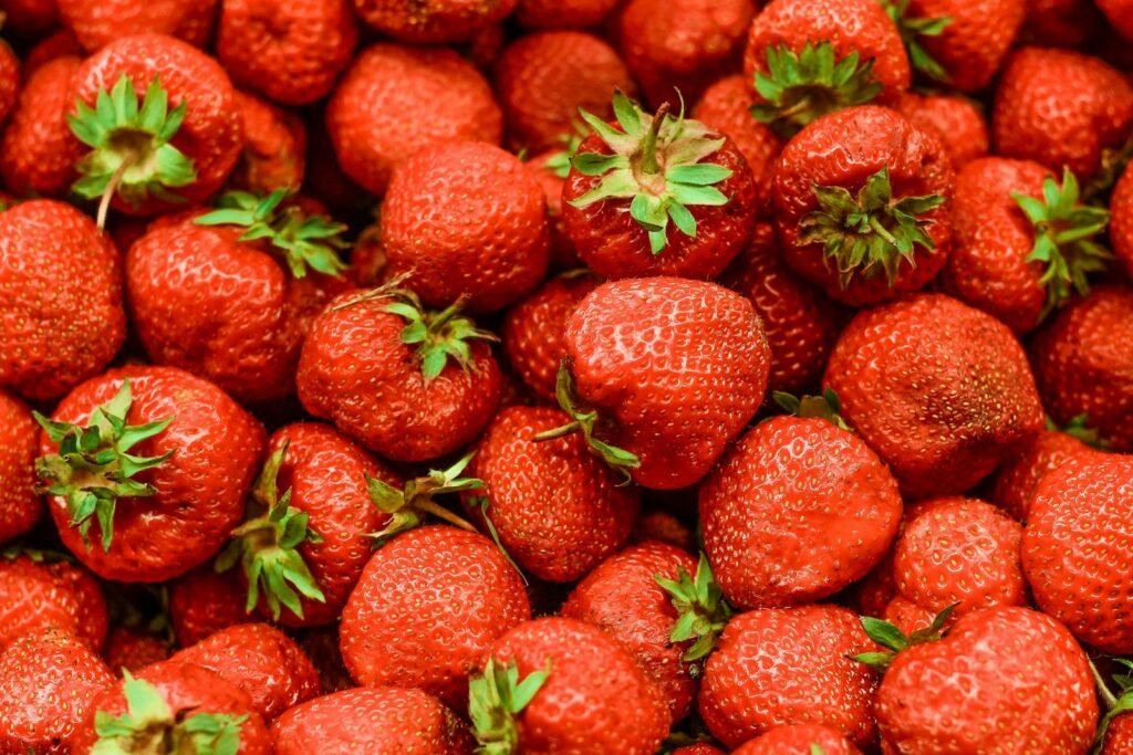 Fresh strawberries growing among green leaves