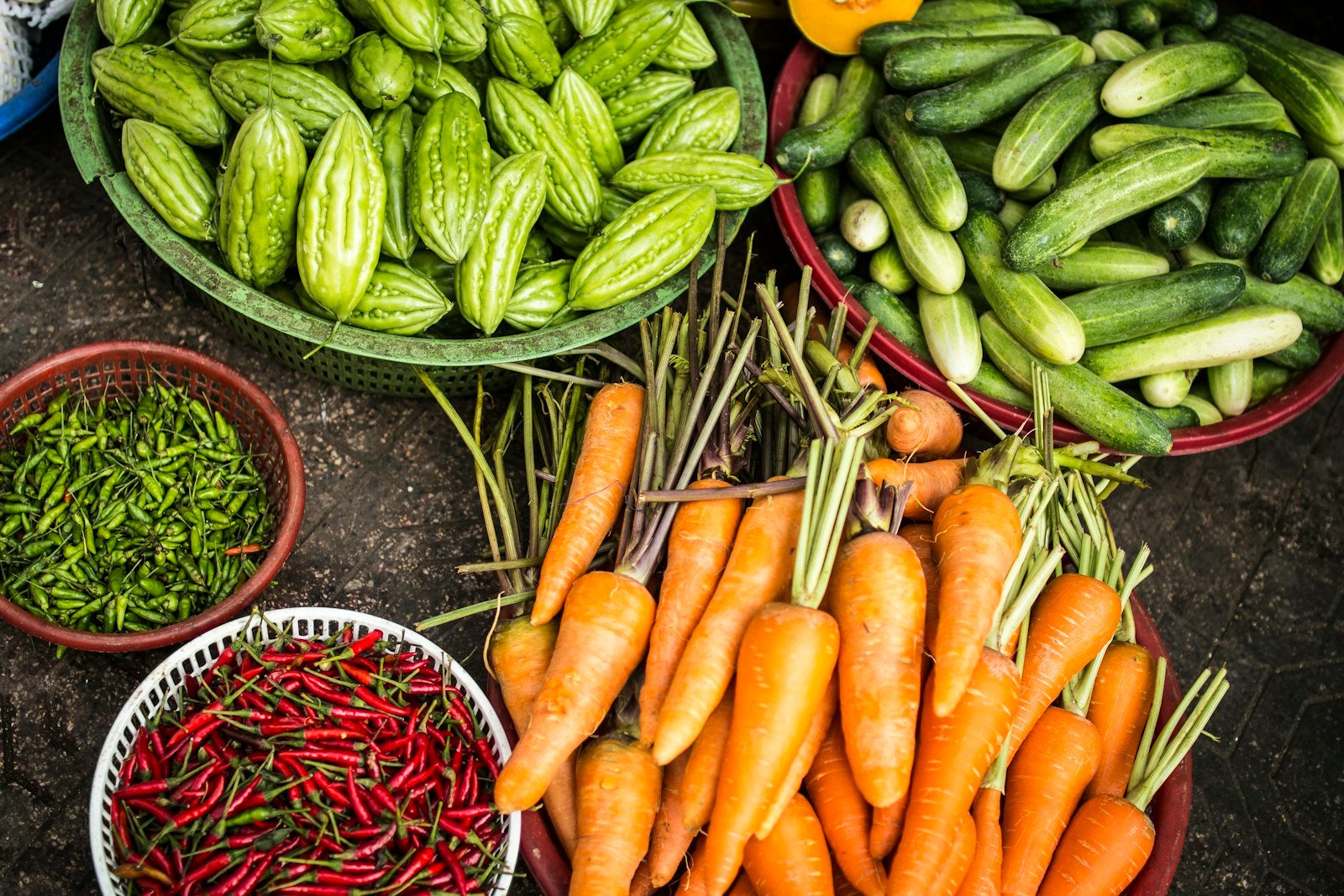 Healthy leafy vegetable plants growing in rows